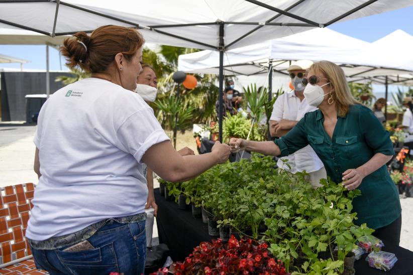 Montevideo más Verde: Feria Sustentable