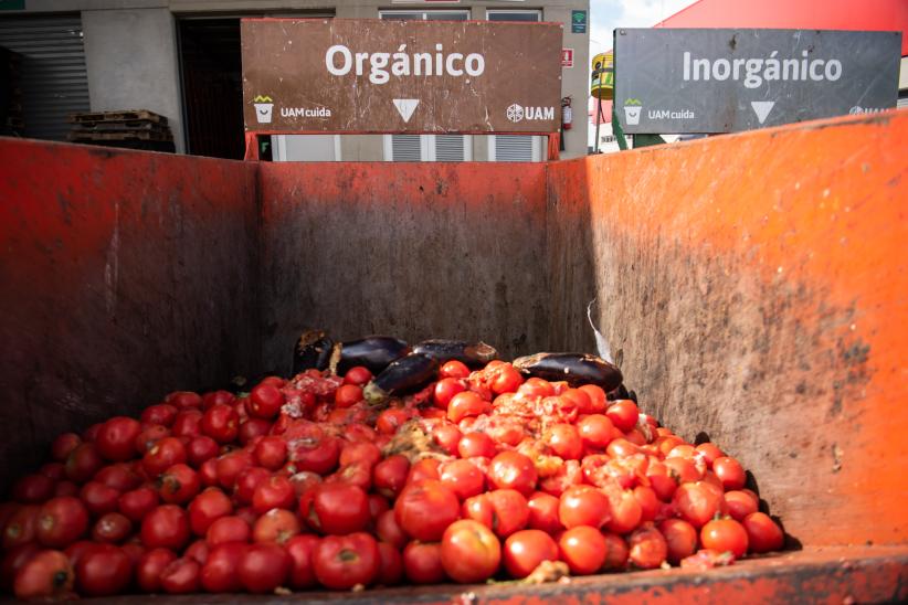 Recuperación de alimentos en la Unidad Agroalimentaria Metropolitana