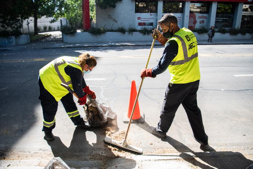 Barrido especial por pelusa de plátanos en Avenida San Martín