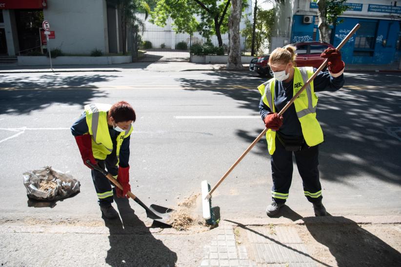 Barrido especial por pelusa de plátanos en Avenida San Martín