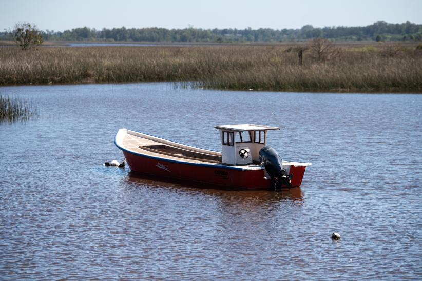 Día Mundial de los Humedales, en el Río Santa Lucía