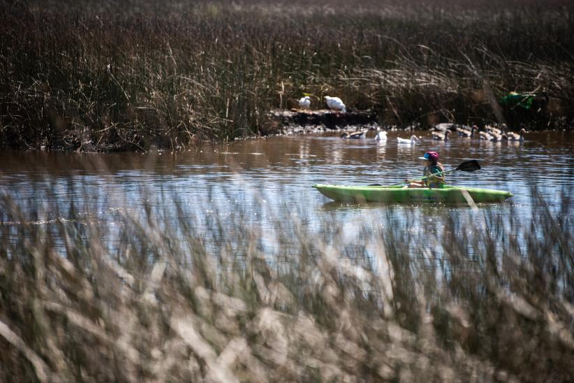 Día Mundial de los Humedales, en el Río Santa Lucía