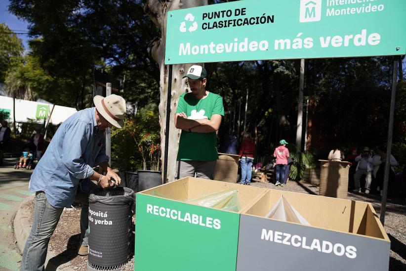 Punto de clasificación