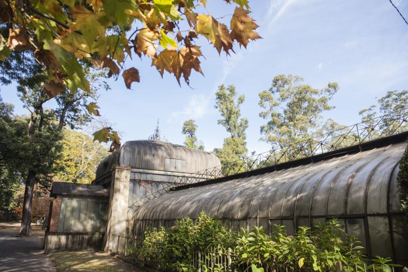 Invernáculo del Museo y Jardín Botánico 