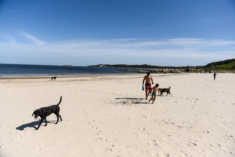 Jornada de limpieza en playa Santa Catalina en el marco del Día de la Tierra