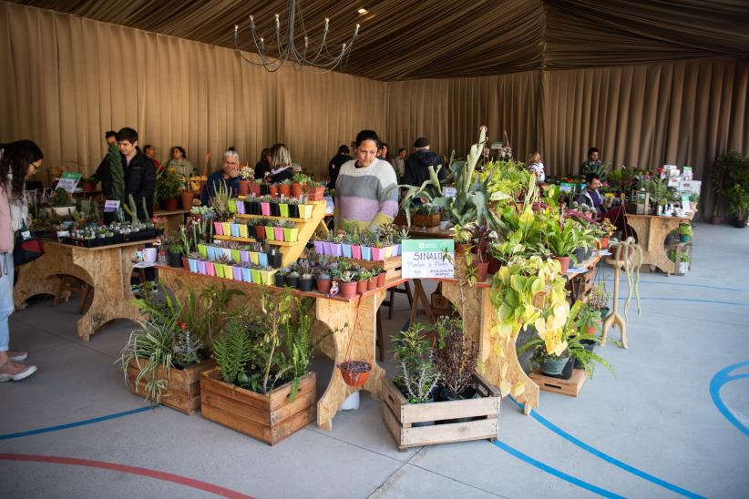 Recorrida por feria sustentable “Montevideo más Verde” en el parque Villa Dolores,  23 de setiembre de 2022