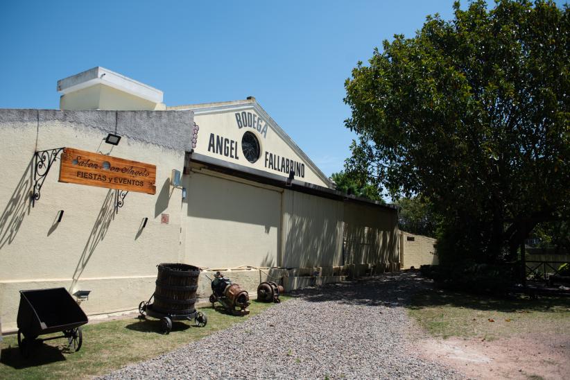 Bodega Ángel Fallabrino