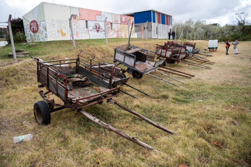 Jornada de adopción de caballos en el marco de la reconversión laboral de clasificadores, 17 de febrero de 2023