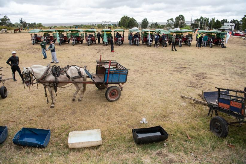 Jornada de adopción de caballos en el marco de la reconversión laboral de clasificadores, 17 de febrero de 2023