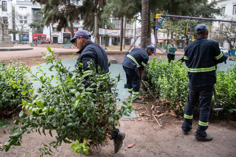 Recuperación de áreas verdes en la plaza Zabala