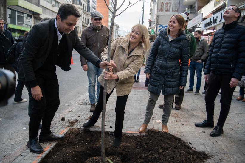 Plantación de árboles en Av.18 de Julio en el marco del proyecto de arbolado en Montevideo