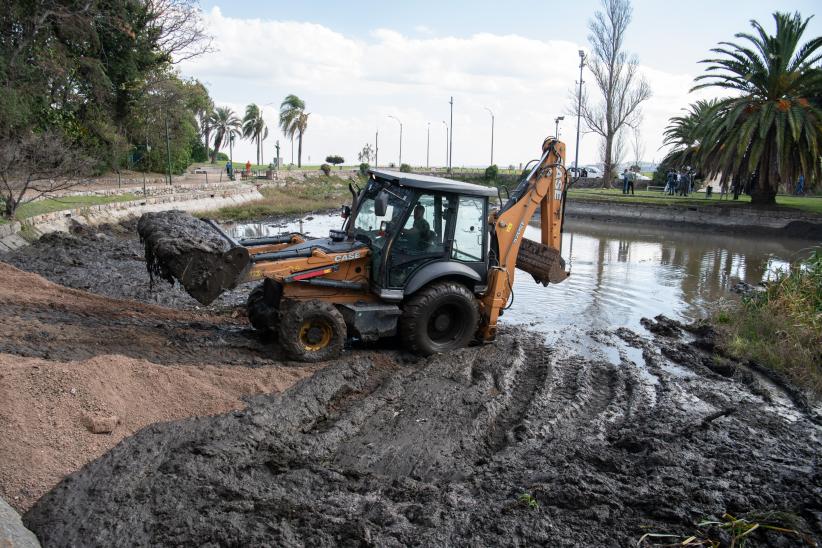 Limpieza del lago Cachón del Parque Rodó