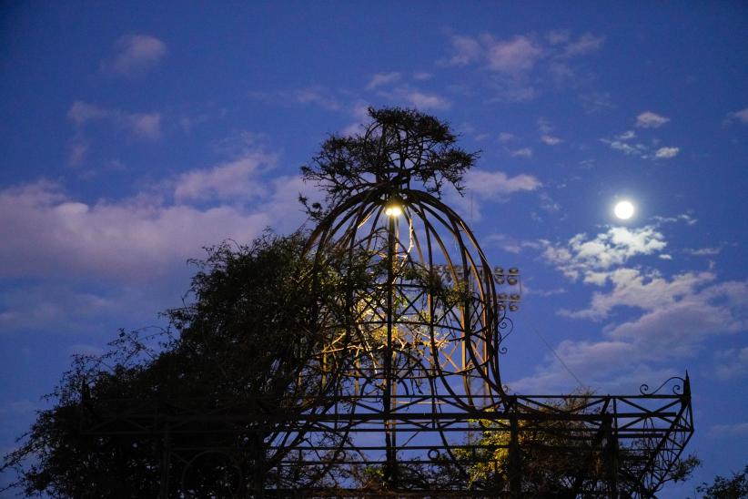 Montevideo se ilumina en el barrio Prado