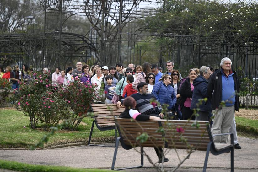 Entrega de esquejes de rosales en el Rosedal del Prado