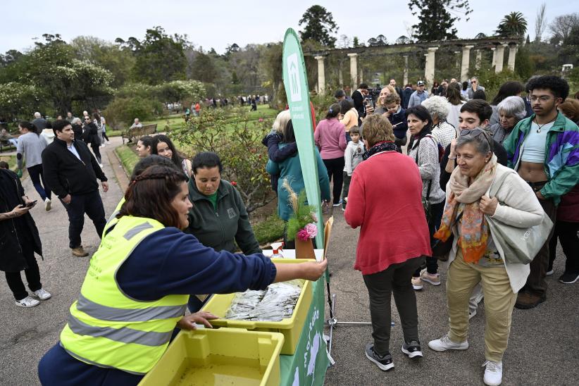 Entrega de esquejes de rosales en el Rosedal del Prado