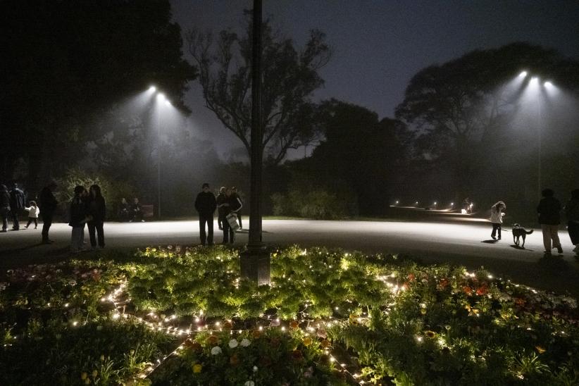 Iluminación en el Jardín Botánico