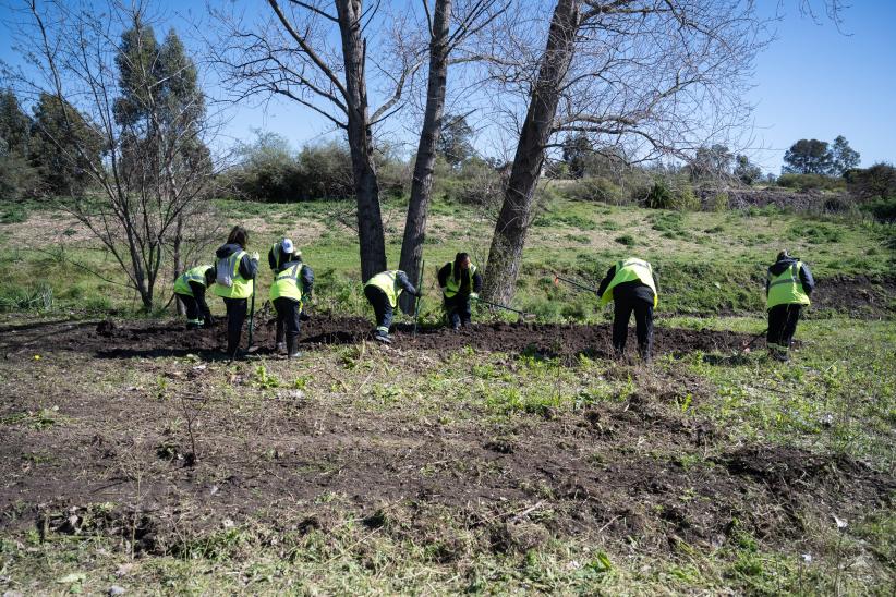 Plantación de flores con participantes del proyecto «Mujeres que Reverdecen» en el arroyo Mendoza