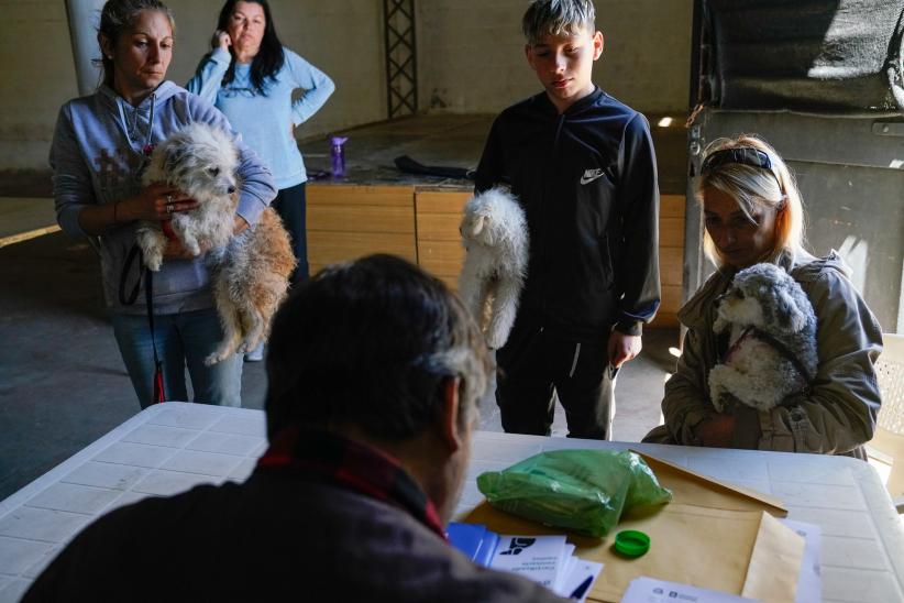 Jornada de vacunación canina en el Club Olimpo