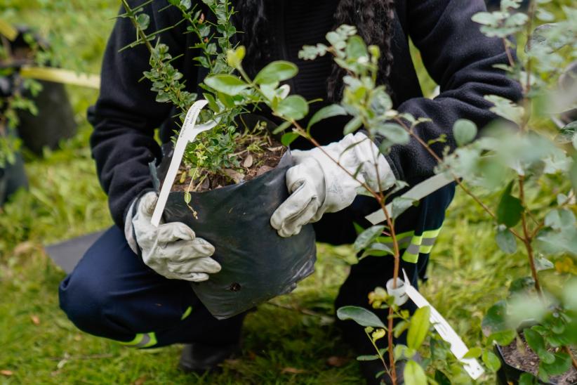 Plantación de bosques urbanos en el Jardín Botánico , 19 de Octubre 2023