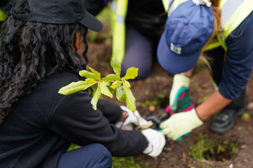 Plantación de bosques urbanos en el Jardín Botánico , 19 de Octubre 2023