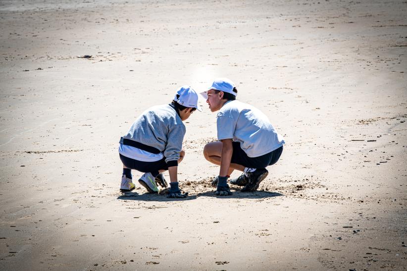 Limpieza de playas