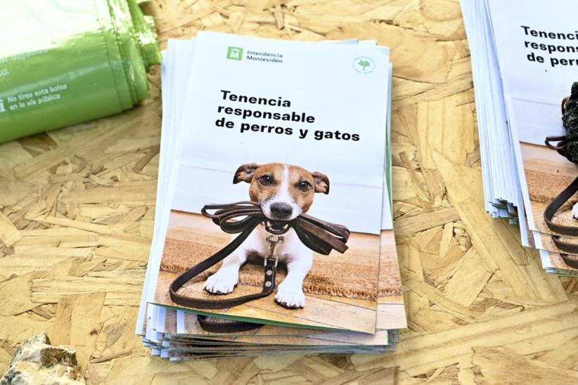 Actividad educativa sobre efectos nocivos de la pirotecnia