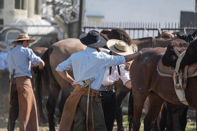 Recorrida con representantes de la Facultad de Veterinaria en la Semana Criolla 2024 