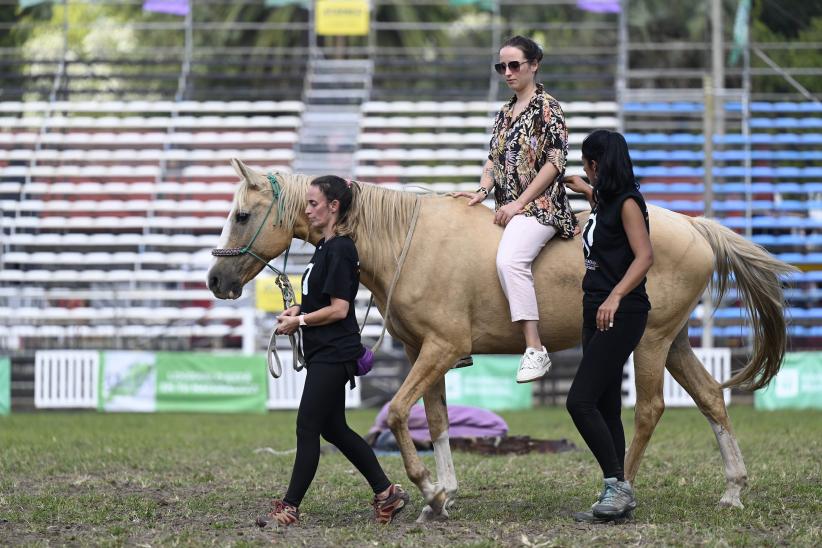 Taller de sensibilización "Hay otra manera de sentir a los caballos"