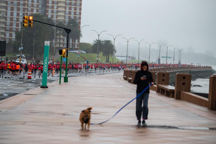 Maratón Montevideo 2024  