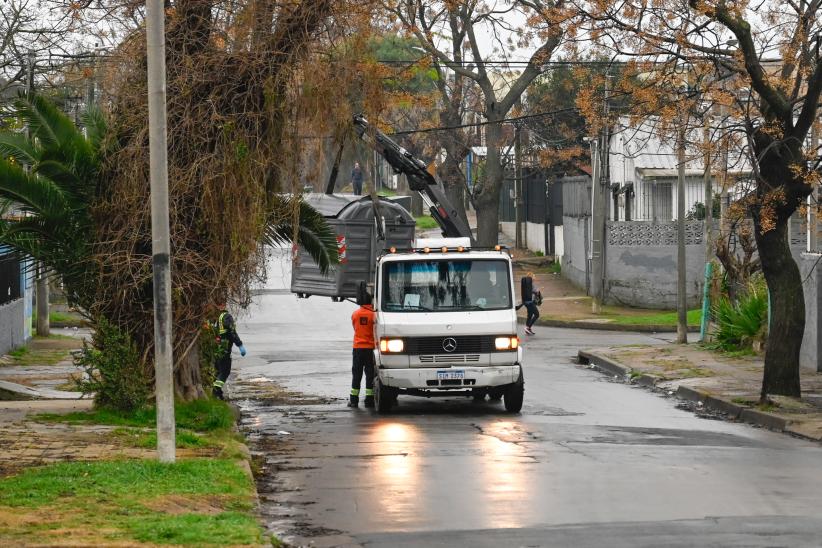 Rotación de contenedores en el Municipio A, 6 de agosto de 2024