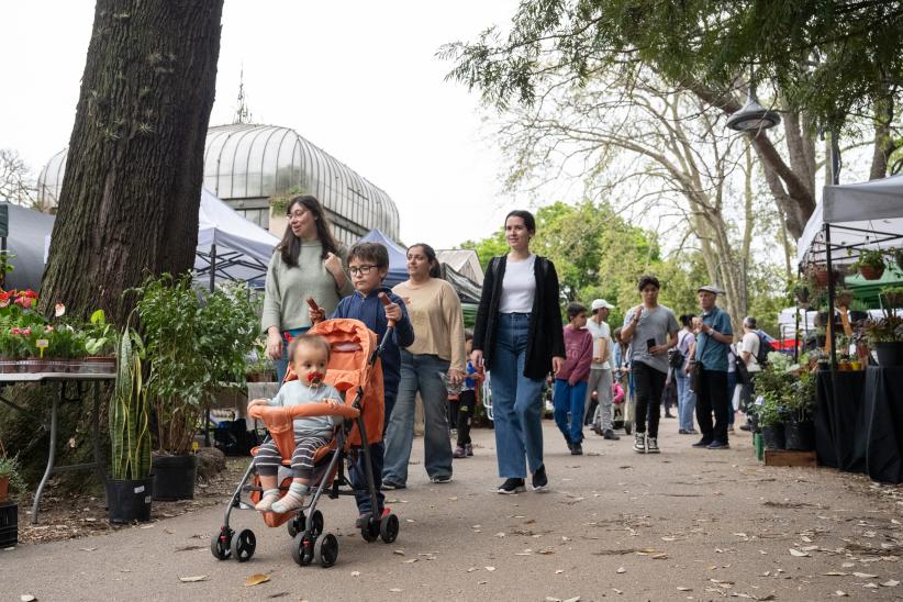 Actividades en el Jardín Botánico por el día de las plazas y los barrios