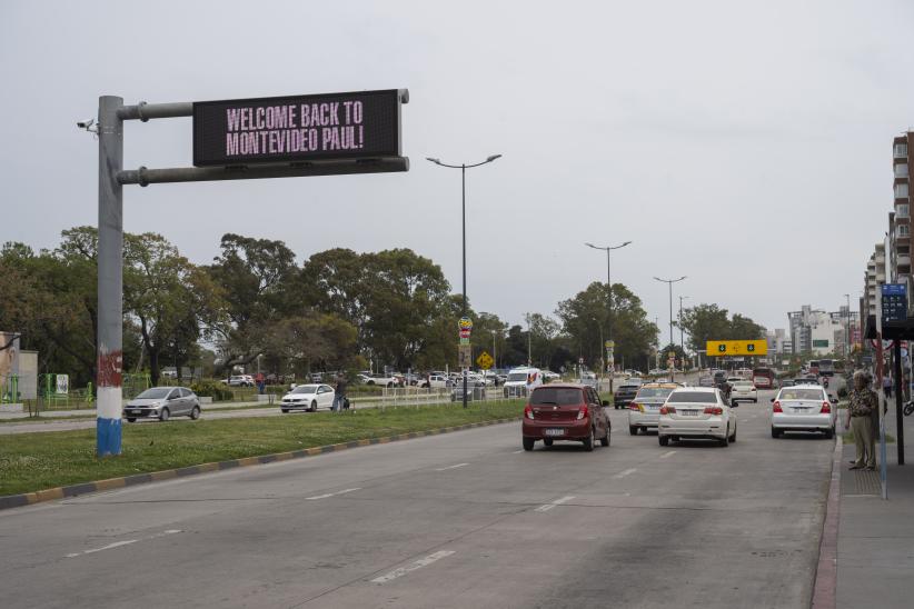 Previa del recital de Paul McCartney