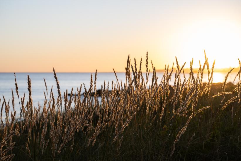 Lanzamiento de la temporada de Playas al Atardecer en Playa de los Ingleses