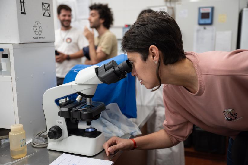 Servicio de Evaluación de la Calidad y Control Ambiental