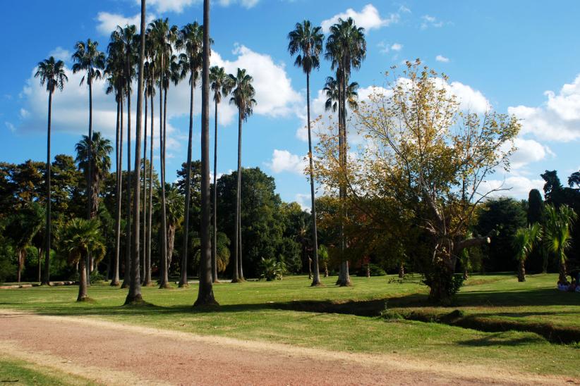 jardin botanico