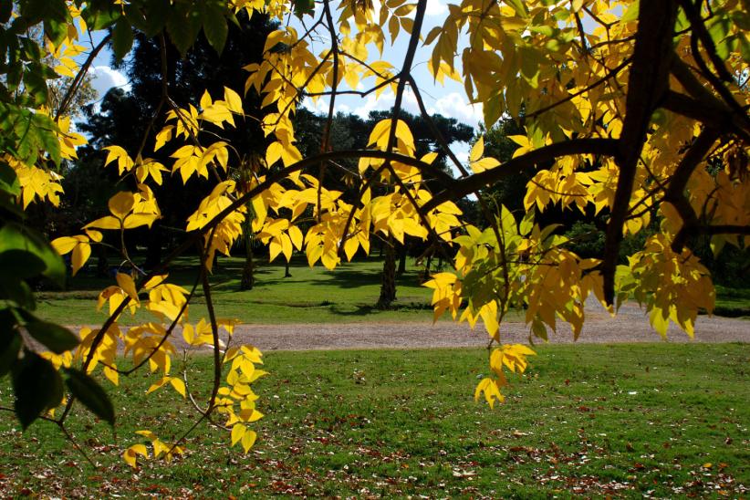 jardin botanico