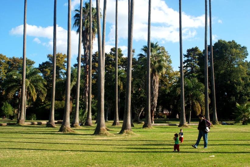 jardin botanico