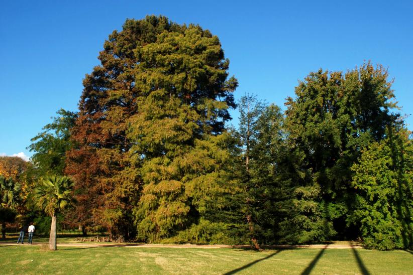 jardin botanico