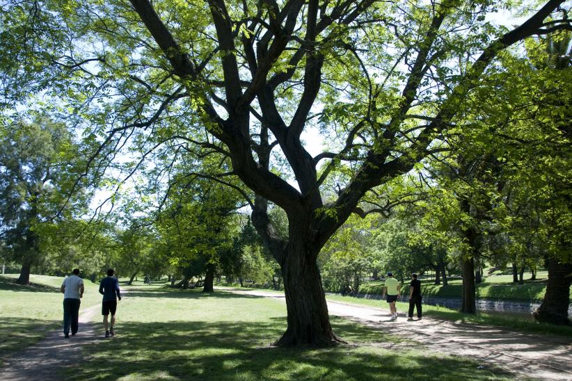 Parque Prado