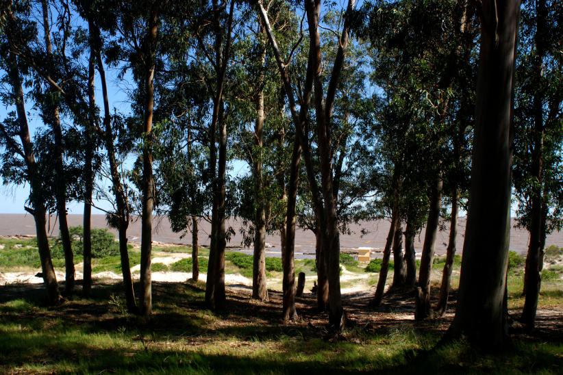 Parque Punta Espinillo