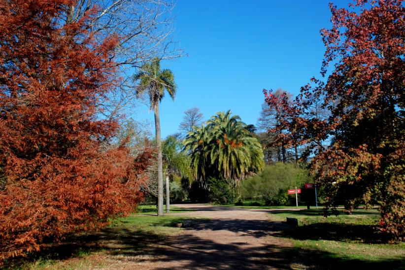 jardin botanico