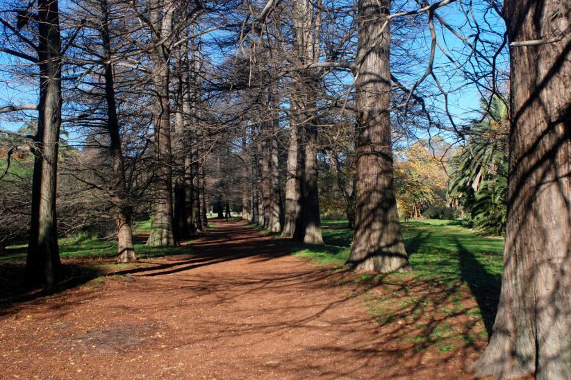 jardin botanico