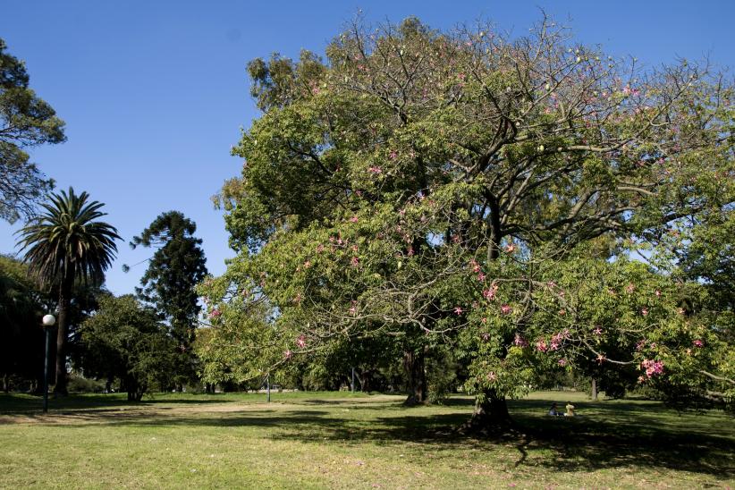 Parque Batlle