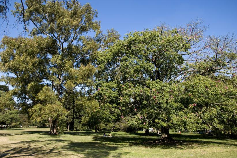 Parque Batlle