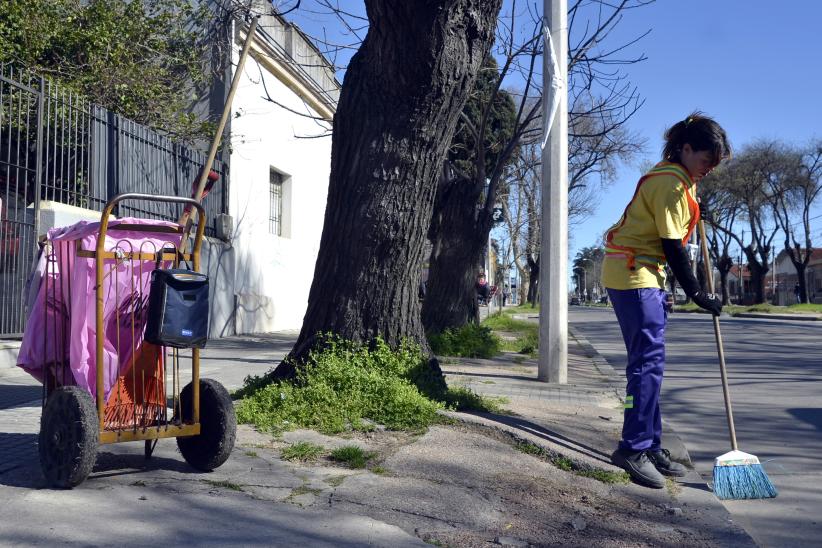 Barrido otoñal 2014. programa para mujeres jefas de hogares.