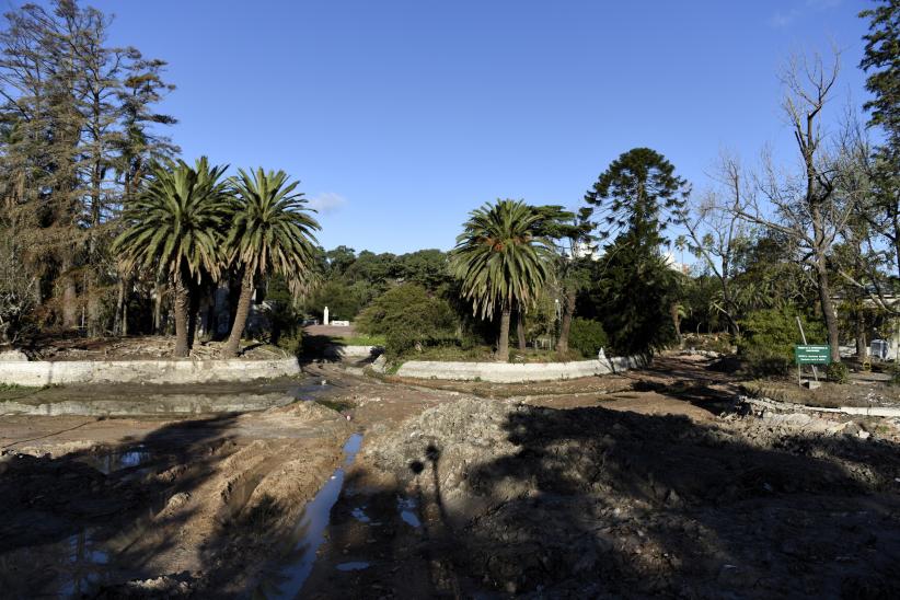 Vaciado y limpieza del lago del Parque Rodó