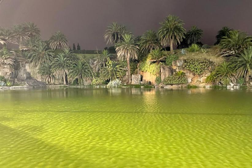 Ampliación de red lumínica de las canteras del Parque Rodó