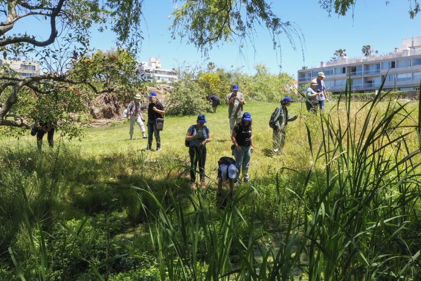 Gran Biobúsqueda del Sur en Molino de Pérez