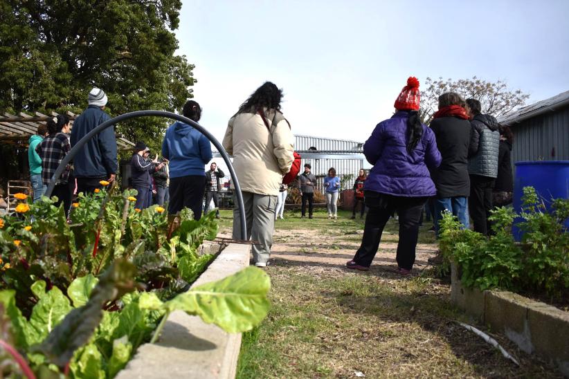 Proyecto Huerta en casa