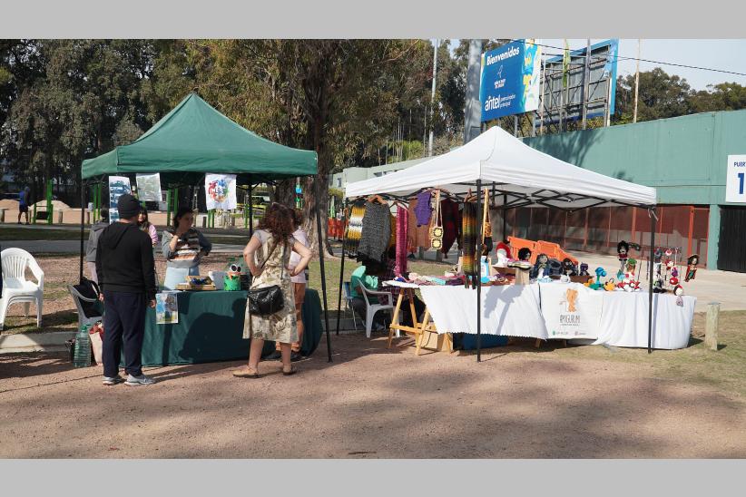 Jornada de Entorno Saludables en el Municipio E